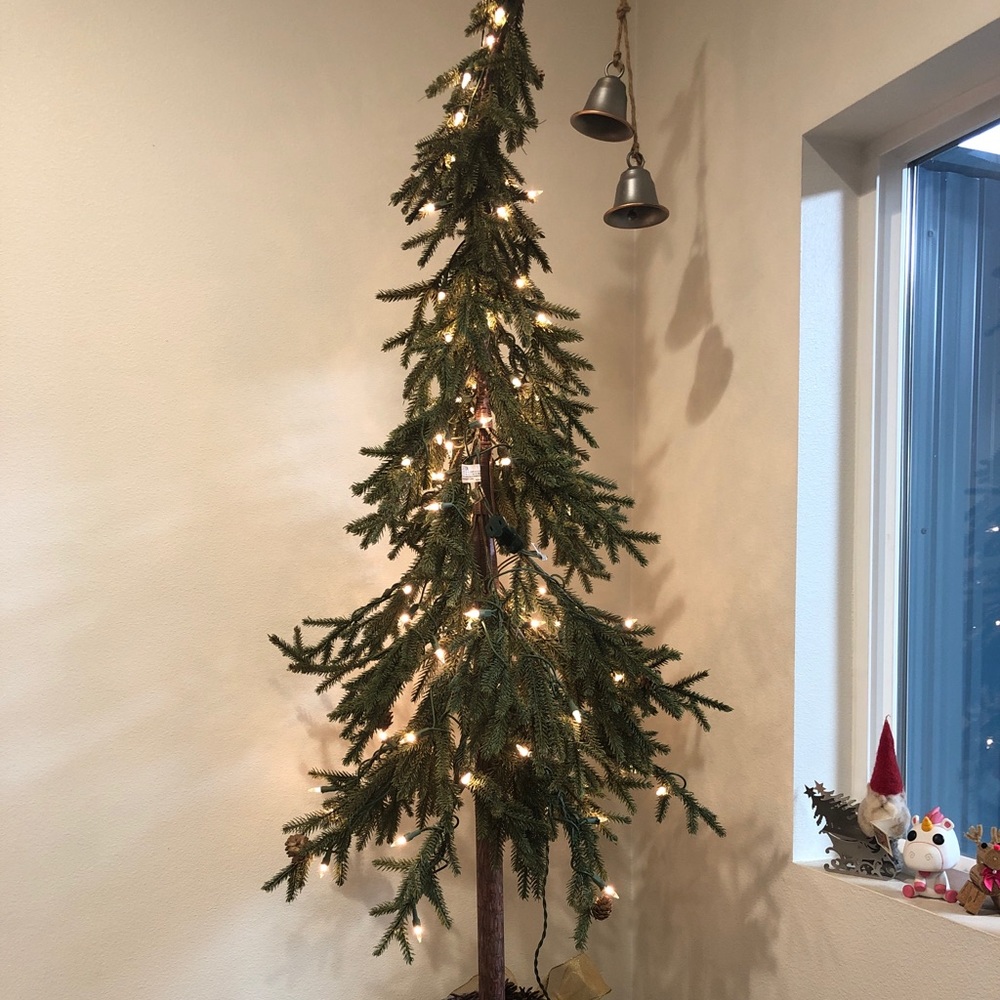 Meet your Posher, Wendy